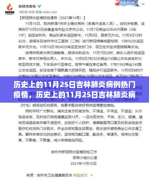 多维视角下的吉林肺炎疫情，历史上的11月25日深度剖析与观点碰撞