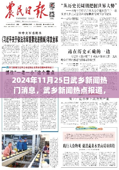 2024年11月25日武乡新闻热点聚焦，最新动态与热门消息全解析