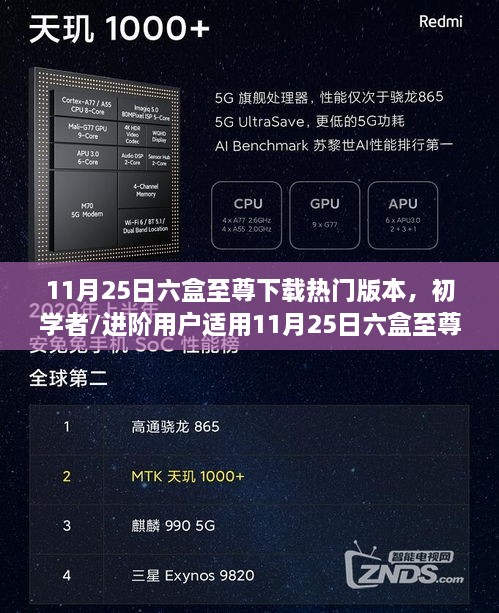 11月25日六盒至尊下载热门版本，初学者与进阶用户的详细步骤指南