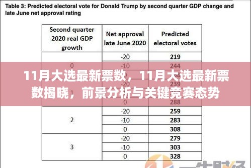 11月大选最新票数揭晓，前景分析与关键竞赛态势速递