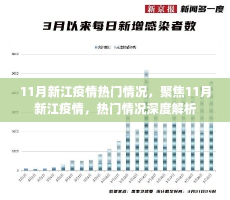 11月新江疫情深度聚焦，热门情况解析