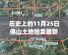 佛山土地拍卖刷新历史记录，智能土地拍卖系统引领智能生活新纪元，11月25日最新消息出炉！