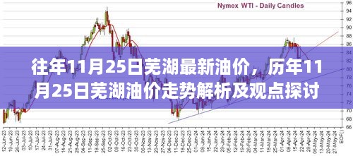 历年11月25日芜湖油价走势解析及观点探讨，最新油价动态与趋势探讨