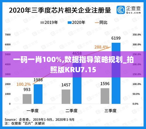 一码一肖100%,数据指导策略规划_拍照版KRU7.15