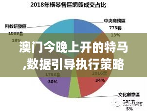 澳门今晚上开的特马,数据引导执行策略_精致版JMB7.57