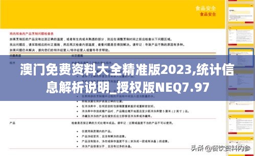 澳门免费资料大全精准版2023,统计信息解析说明_授权版NEQ7.97