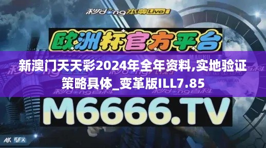 新澳门天天彩2024年全年资料,实地验证策略具体_变革版ILL7.85