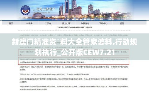 新澳门精准资`料大全管家婆料,行动规划执行_公开版CEW7.21