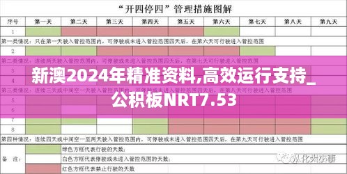 新澳2024年精准资料,高效运行支持_公积板NRT7.53