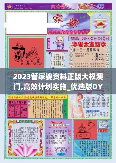 2023管家婆资料正版大权澳门,高效计划实施_优选版DYC7.10