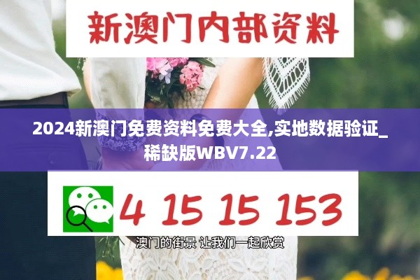 2024新澳门免费资料免费大全,实地数据验证_稀缺版WBV7.22