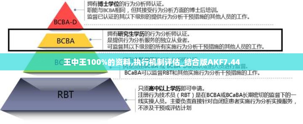 王中王100%的资料,执行机制评估_结合版AKF7.44