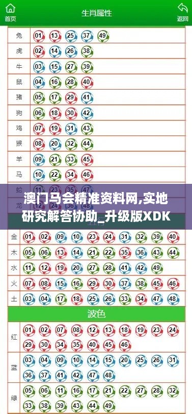 澳门马会精准资料网,实地研究解答协助_升级版XDK7.34