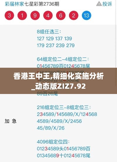 香港王中王,精细化实施分析_动态版ZIZ7.92