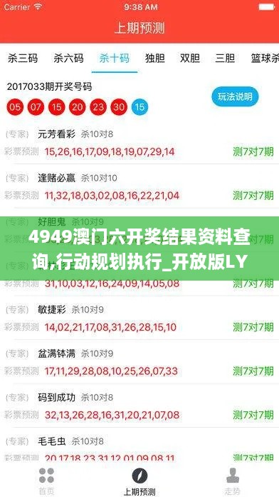 4949澳门六开奖结果资料查询,行动规划执行_开放版LYP7.57