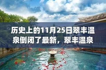 翠丰温泉倒闭事件回顾，深度解析、产品特性及用户分析