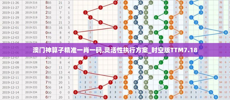 澳门神算子精准一肖一码,灵活性执行方案_时空版TTM7.18