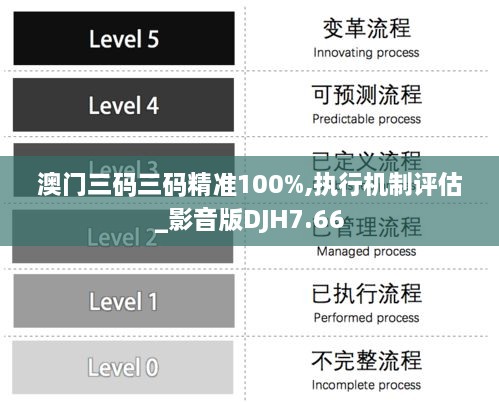 澳门三码三码精准100%,执行机制评估_影音版DJH7.66