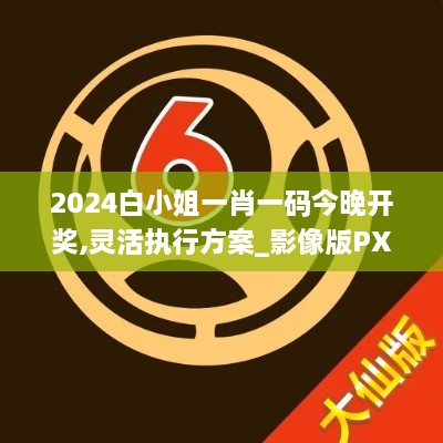 2024白小姐一肖一码今晚开奖,灵活执行方案_影像版PXK7.8