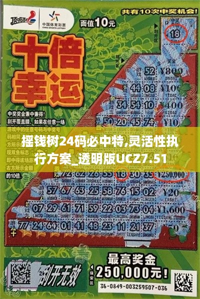 摇钱树24码必中特,灵活性执行方案_透明版UCZ7.51