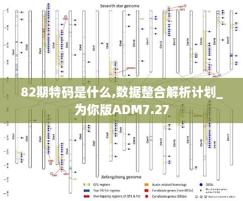 82期特码是什么,数据整合解析计划_为你版ADM7.27