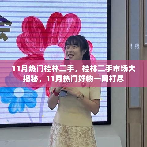 11月桂林二手市场热门好物大揭秘