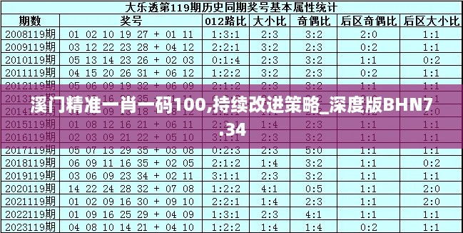 溪门精准一肖一码100,持续改进策略_深度版BHN7.34