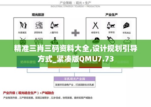 精准三肖三码资料大全,设计规划引导方式_紧凑版QMU7.73