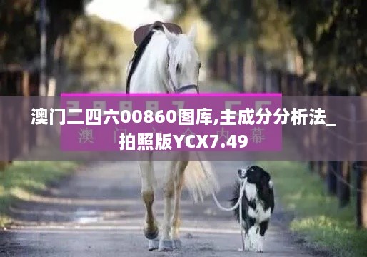 澳门二四六00860图库,主成分分析法_拍照版YCX7.49