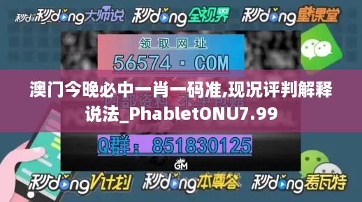 澳门今晚必中一肖一码准,现况评判解释说法_PhabletONU7.99