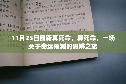 命运预测思辨之旅，揭秘算死命的真相（11月25日最新）