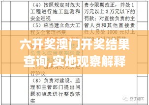 六开奖澳门开奖结果查询,实地观察解释定义_媒体版XUB7.18