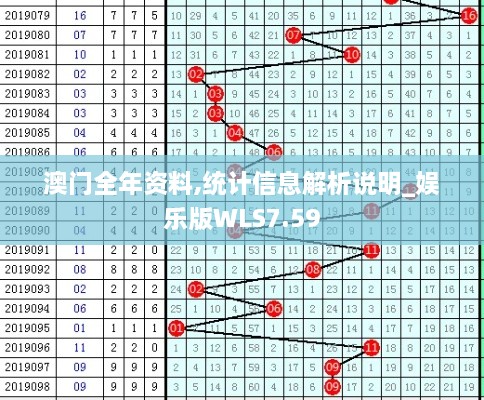 澳门全年资料,统计信息解析说明_娱乐版WLS7.59