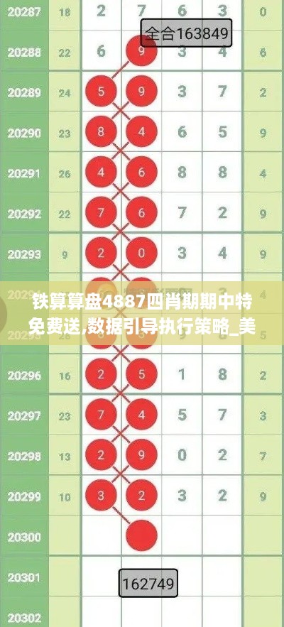 铁算算盘4887四肖期期中特免费送,数据引导执行策略_美学版NOY7.40