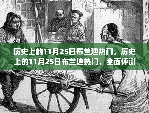 历史上的布兰迪热潮，全面评测与深度介绍（11月25日篇）