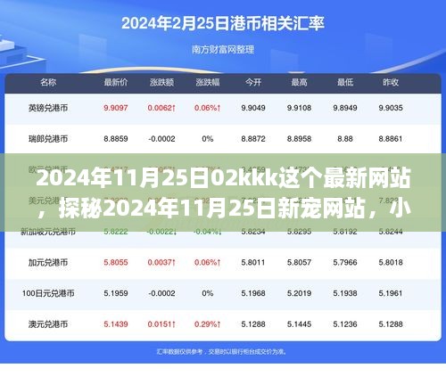 探秘最新网站，2024年11月25日新宠网站——小巷深处的独特风味小店揭秘