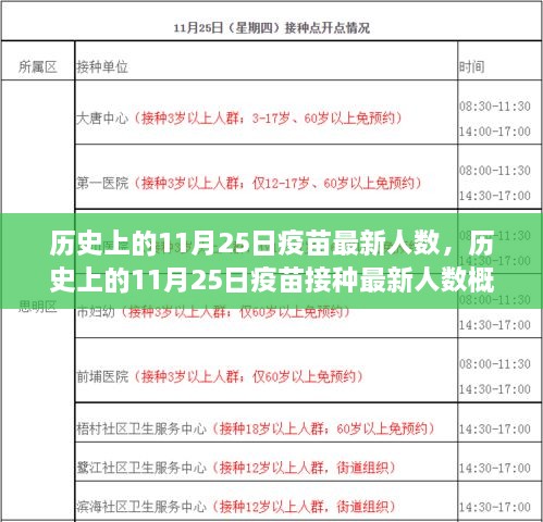 11月25日疫苗接种人数概览，历史最新数据解析