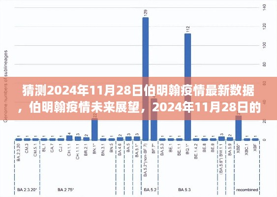 伯明翰疫情最新数据预测与反思，2024年11月28日的疫情展望与未来趋势