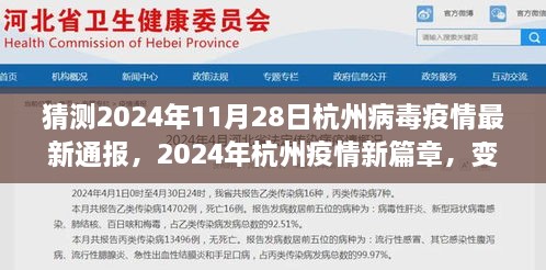 杭州疫情最新动态，2024年11月28日疫情新篇章与构筑自信励志之旅的启示