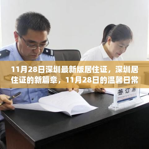 深圳居住证新篇章，11月28日温馨日常与最新版居住证介绍