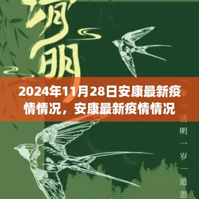 2024年11月28日安康疫情最新动态与分析报告