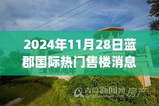 蓝郡国际售楼热潮背后的故事，揭秘2024年11月28日最新动态与热门楼盘消息揭秘