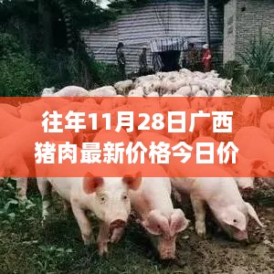 广西特色猪肉小店今日报价，探秘小巷深处的猪肉香之旅