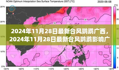 台风鹦鹉来袭广西，深度解析影响与应对措施