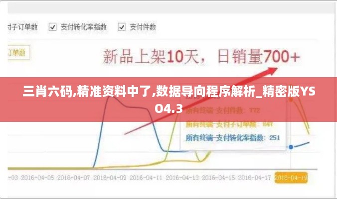 三肖六码,精准资料中了,数据导向程序解析_精密版YSO4.3