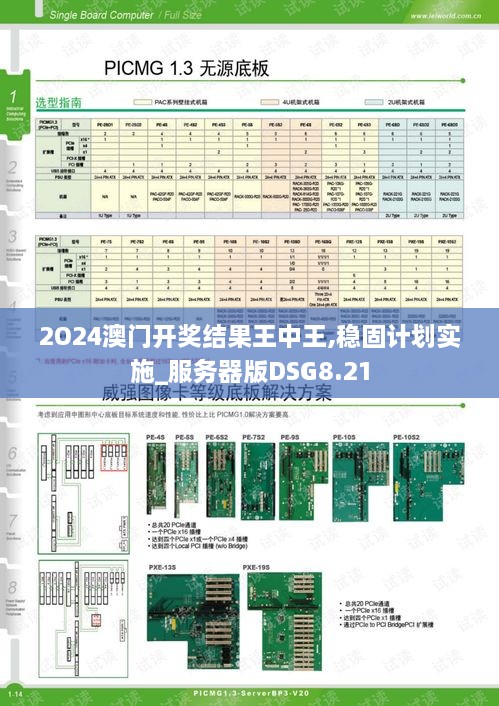 2O24澳门开奖结果王中王,稳固计划实施_服务器版DSG8.21