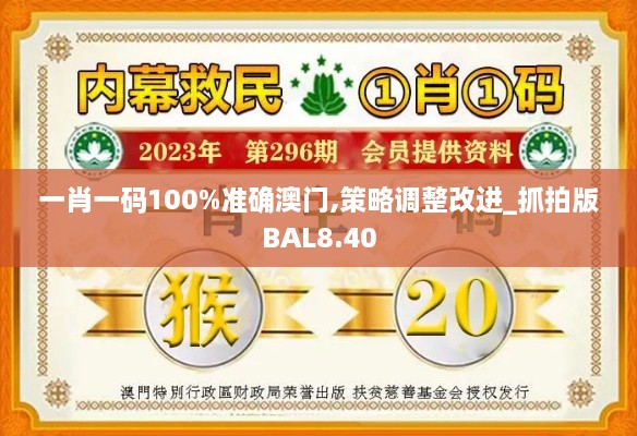 一肖一码100%准确澳门,策略调整改进_抓拍版BAL8.40