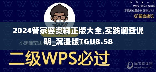 2024管家婆资料正版大全,实践调查说明_沉浸版TGU8.58