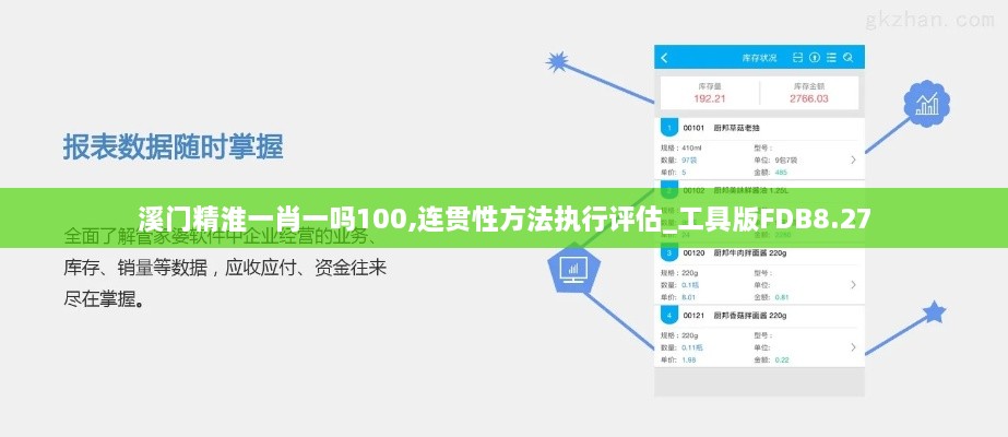 溪门精淮一肖一吗100,连贯性方法执行评估_工具版FDB8.27