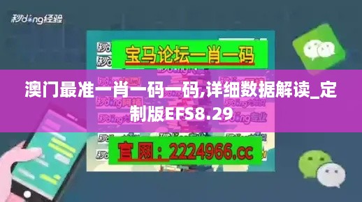 澳门最准一肖一码一码,详细数据解读_定制版EFS8.29